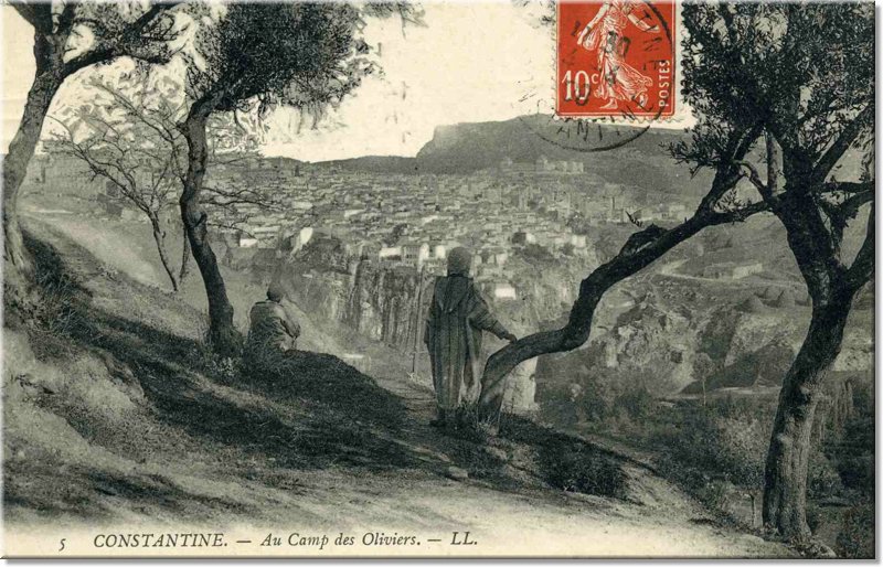 Camp des olviiers.jpg