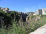 IMG_0274.JPG