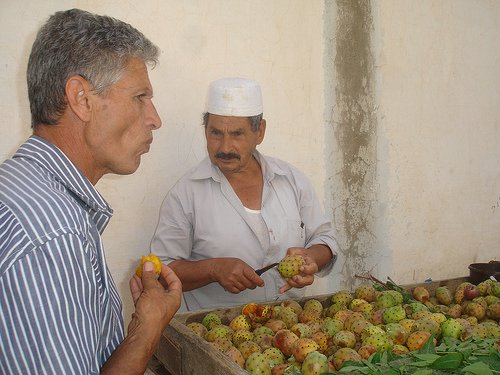 figues de barbaries.jpg