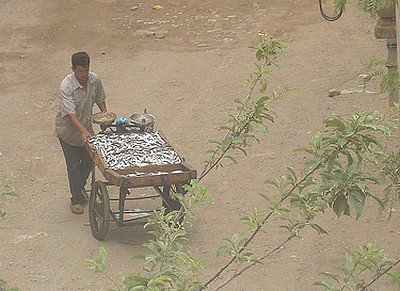 marchand de sardines 2.jpg