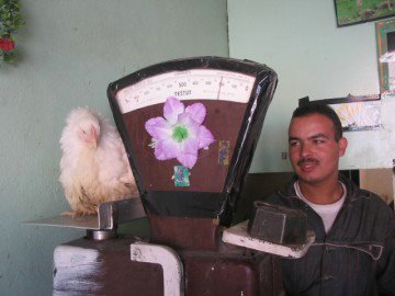 marchand de volailles.jpg
