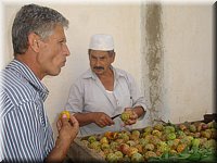 figues de barbaries.jpg