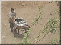 marchand de sardines 2.jpg