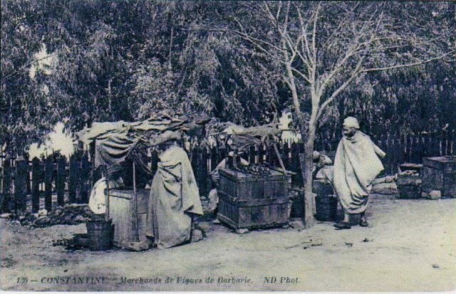 Marchand de Figues de Barbarie.jpg