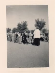 img264