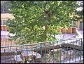 Dscn2012_cabine_et_un_petit_bassin2.JPG