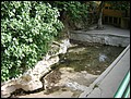 Dscn2014_un_des__petit_bassin2.JPG