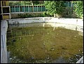 Dscn2015_moyen_bassin2.JPG