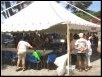 thumb_20090531LesConstantinoisauDramontDSC09375B.jpg