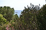 DSC_0020_21.JPG