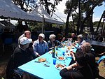 DSC01689-800.jpg