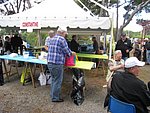 IMG_4379 - Copie.JPG
