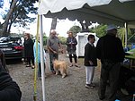 IMG_4381 - Copie.JPG