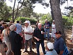 DSC03516-800.jpg