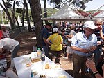 DSC03523-800.jpg