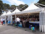 image-27.jpg