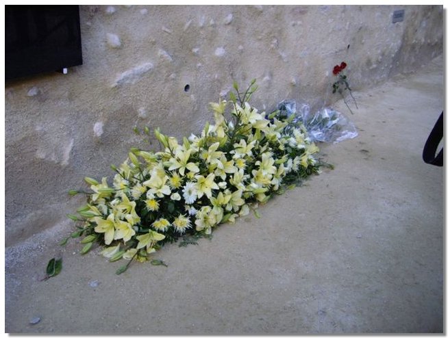 IMGP1104.JPG