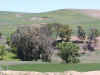 P1010184_1_3_1.JPG (136898 octets)