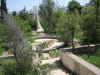 Voyage Renier 244_1_1.jpg (212383 octets)