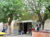 Voyage Renier 339_1_1.jpg (201353 octets)