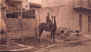 wpeC.jpg (62301 octets)