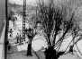 wpe1E.gif (183125 octets)